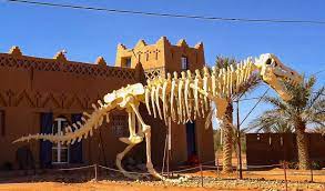  المغرب يستعيد حفريات ديناصور تم تهريبها للولايات المتحدة