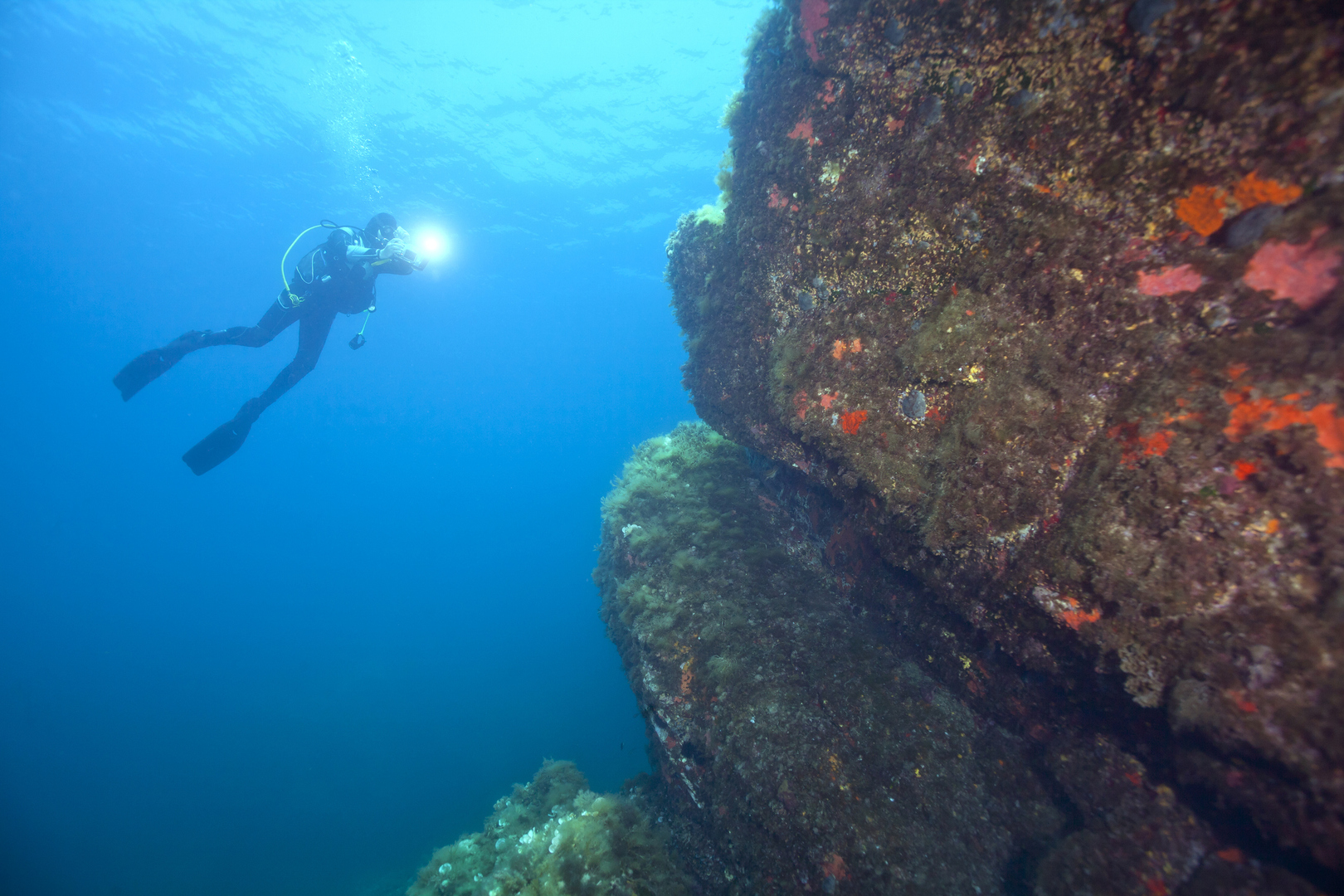 ������ ���� ���� ���� 7 ���� ��� ��� ����� ����� ����� �����