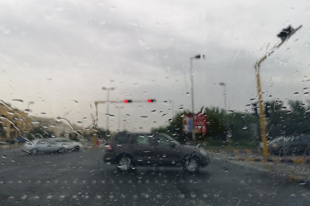 �������ϻ: ��� ������ ������ �������� �� ����� ������ ��� ����� ������