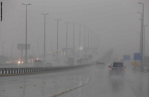 ربيع مزهر في الكويت بعد موجة أمطار الخير