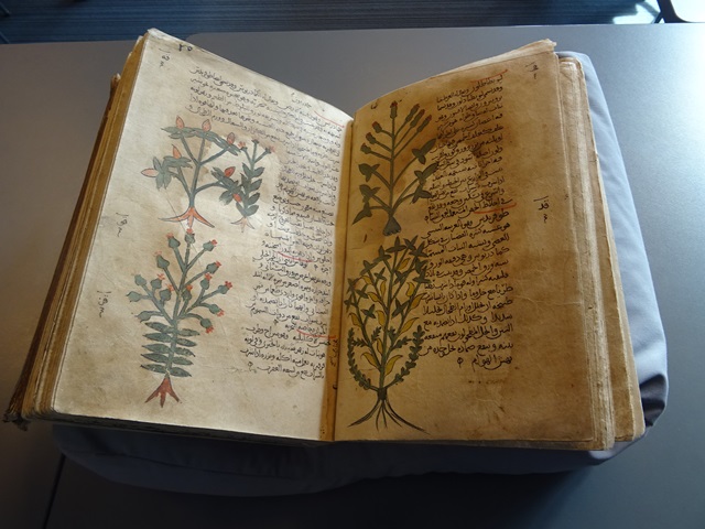  المكتبة الجامعية في مدينة ليدن الهولندية تحتوي على مخطوطات عربية نادرة