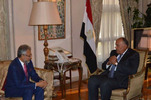 وزير الخارجية المصري يلتقي أمين عام منظمة مجموعة الدول الثماني النامية 