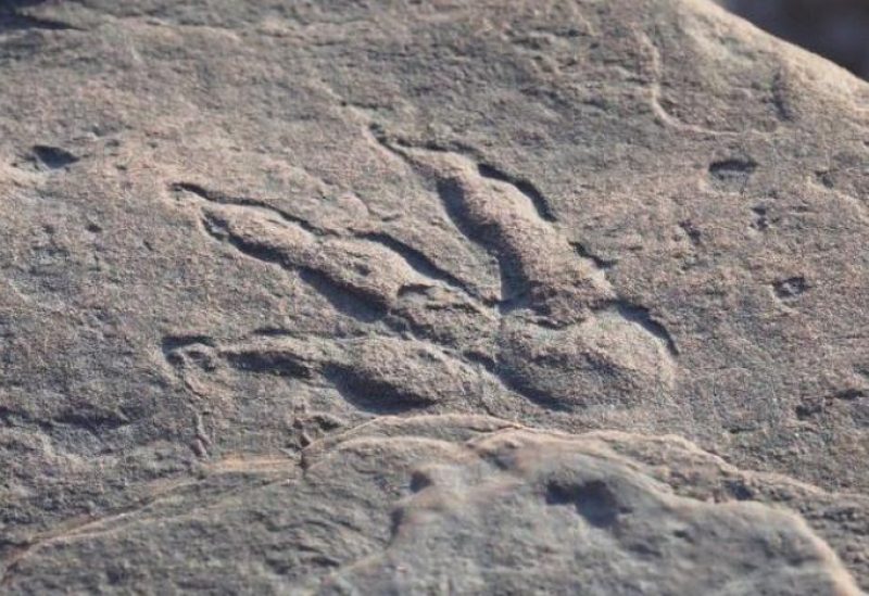 �������.. ������ ��� ���� ����� ��������� �� ����� ��������� �������