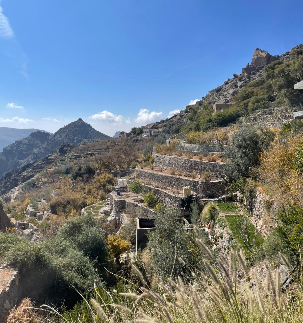   �������� ������� �� 