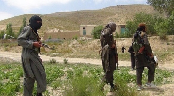 مقتل 11 من طالبان في اشتباك وهجوم جوي