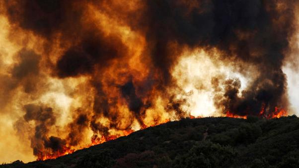 مقتل رجل إطفاء أثناء مكافحة أكبر حريق في تاريخ كاليفورنيا الأمريكية