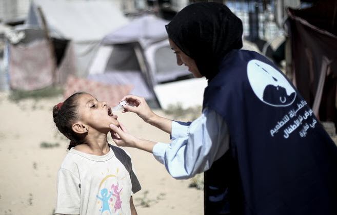 �������� ���� ������ ������ ������� �������