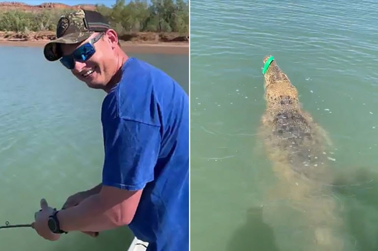 صراع بين تمساح وصياد في نهر فيكتوريا بأستراليا