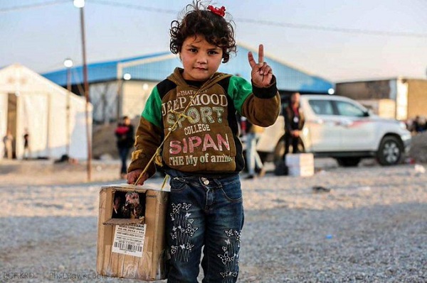 عدد اللاجئين السوريين تجاوز 16 ألف شخص في كردستان العراق