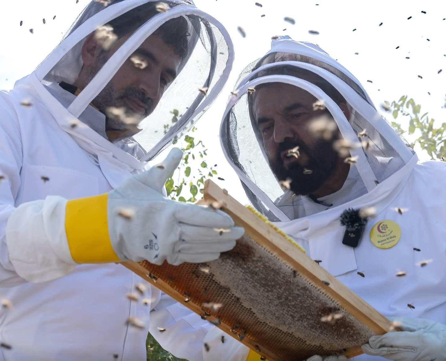 ������ ������� ���� �� ����� ������ ����� ��� ����� ������ �������� ��� ������ ������� 