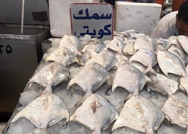 الزبيدي الكويتي يظهر في الأسواق