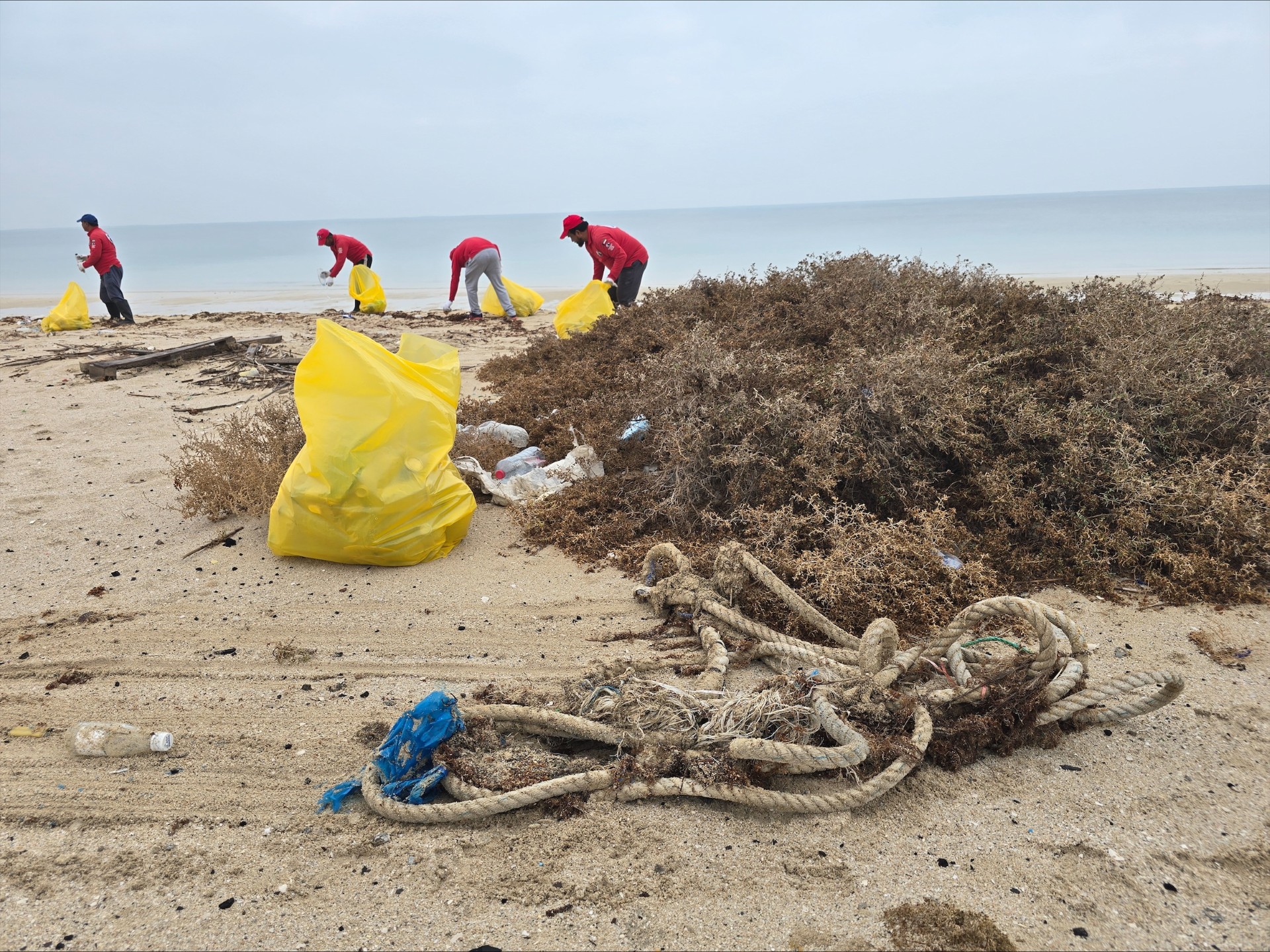 ���� ����� ���� 4 ����� �� �������� �� ����� ������� ����� �����