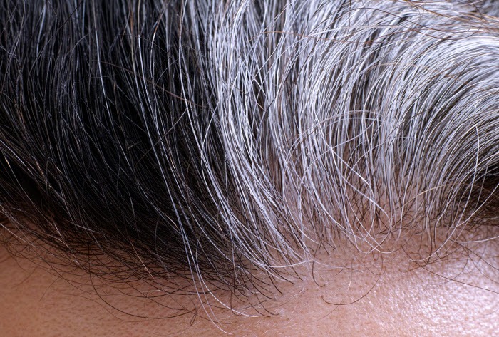  علماء يكشفون عن سبب شيب الشعر