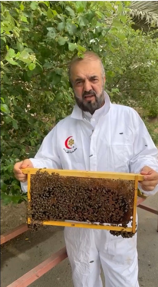 خبير تربية النحل: الشغالات هي الفرد الوحيد في طائفة النحل الذي يهاجم الإنسان ويلسعه