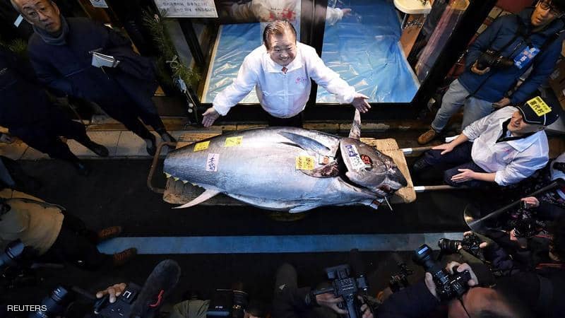 بيع سمكة تونة عملاقة بـ1.8 مليون دولار