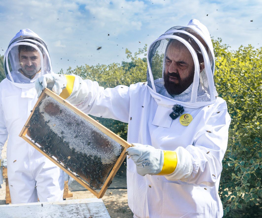  �����: ��� ����� ���� ��� ����� �������� �������