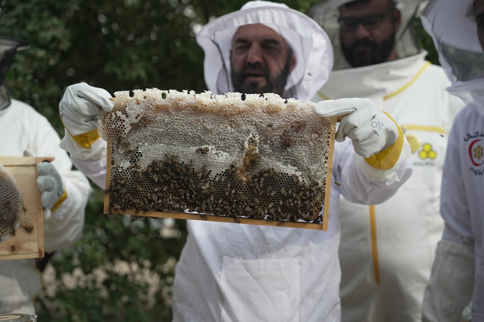 ������ ������� ���� ����� �� ������� ������ ����� ����� ������� ���� �������