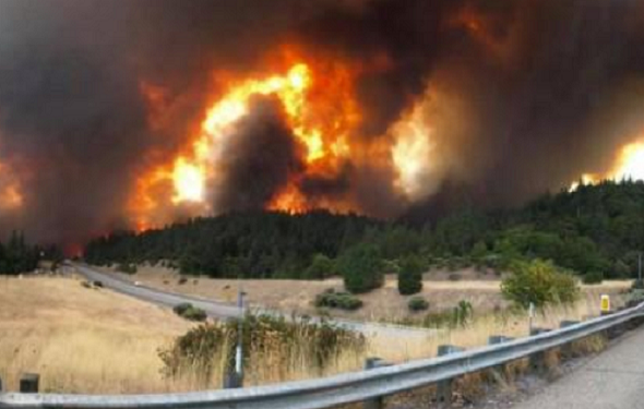 رجال الإطفاء يكافحون حرائق الغابات بكاليفورنيا