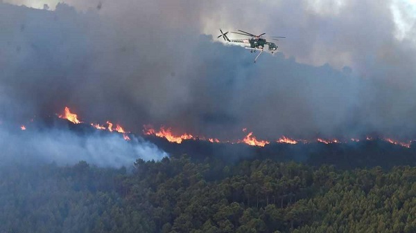 إجلاء المئات وإغلاق مطار بسبب حريق غابات في إيطاليا