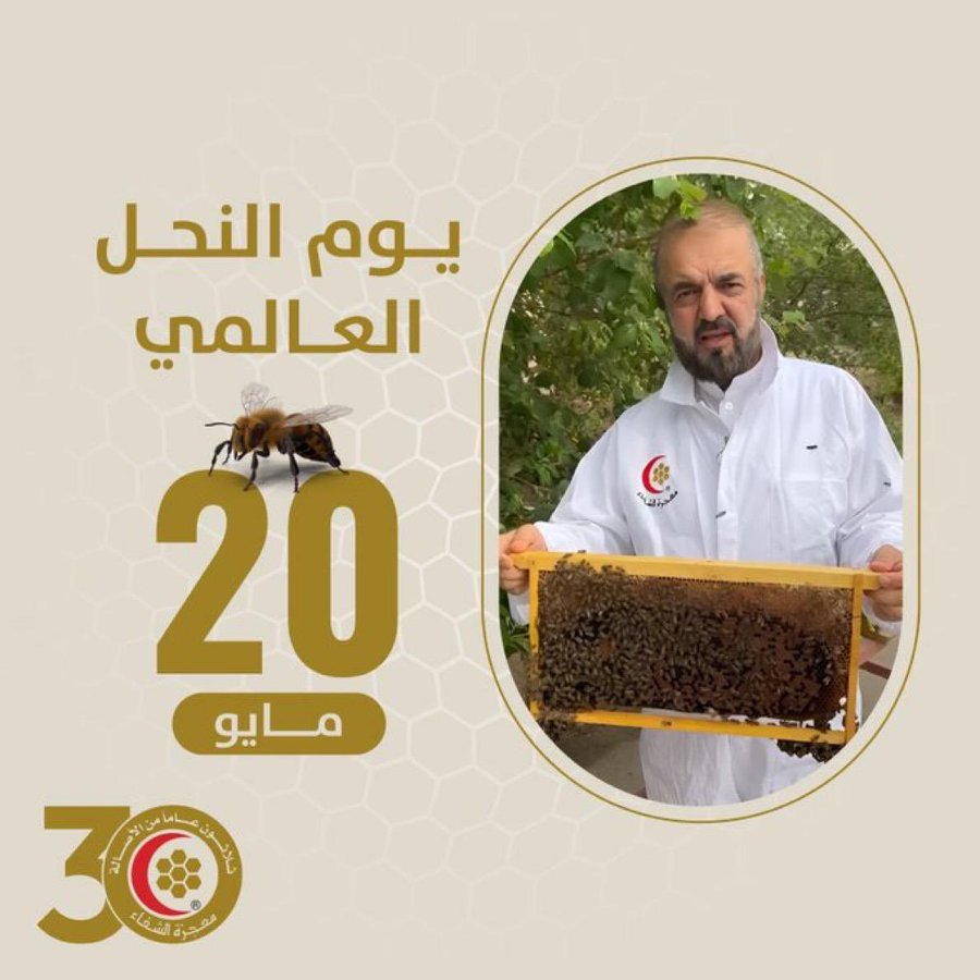 الخبير المجددي: النحل عنصر أساسي في تلقيح 75% من المحاصيل الغذائية بالعالم
